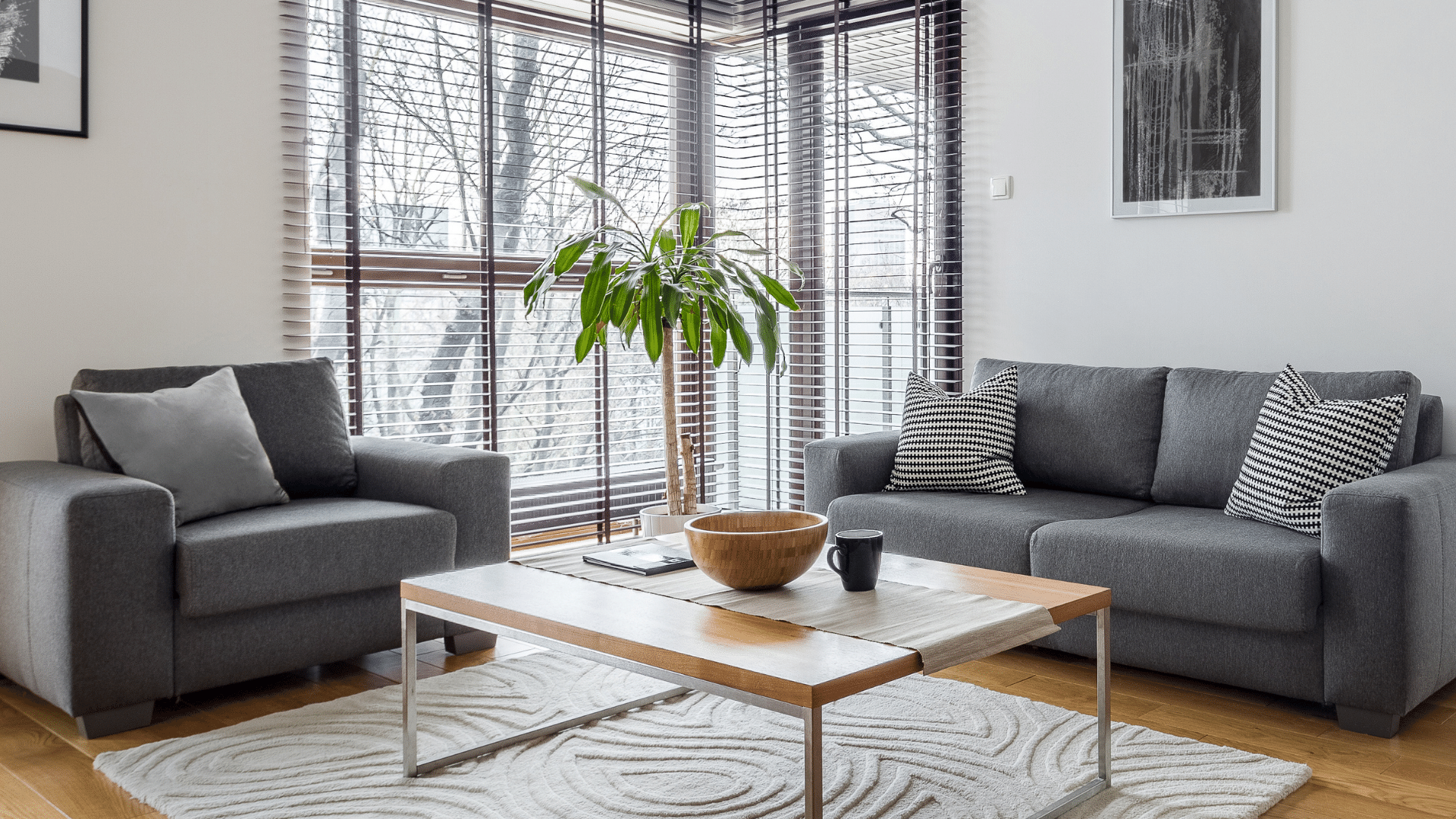 Modernize Your Living Room By Looking For These 5 Contemporary Sofa